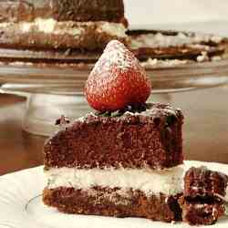 Chocolate Olive Oil Cake