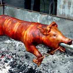 Diplahan Lechon