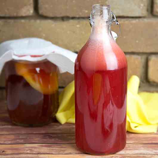 Raspberry Fermented Kombucha Soda