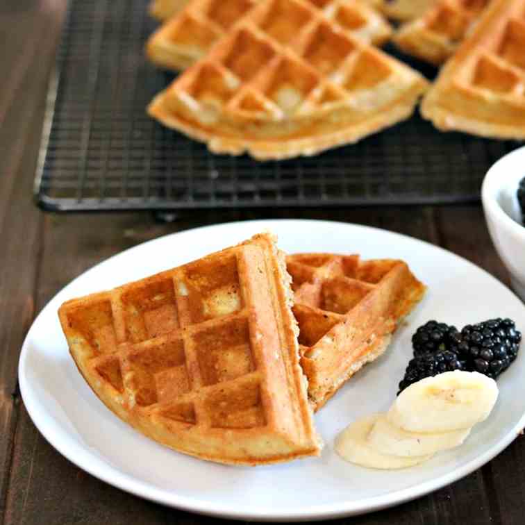 Fresh Oatmeal Waffles