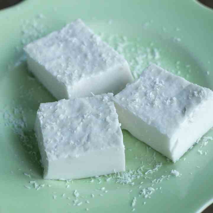 Coconut Jelly