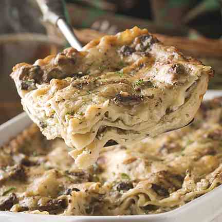 Mushroom Lasagna