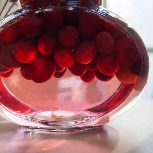cranberry gin