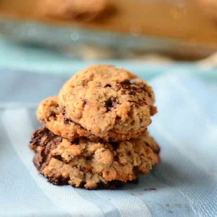 Low Carb Chocolate Chip Cookies