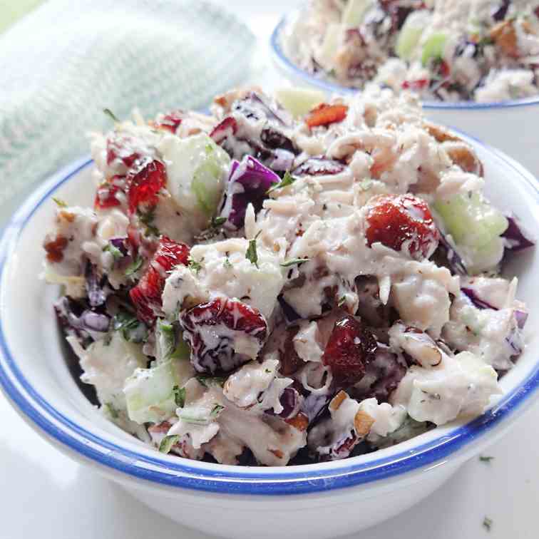 Turkey Salad Recipe with Cranberries