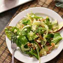 Shaved Fennel and Apple Salad w/ Gorgonza