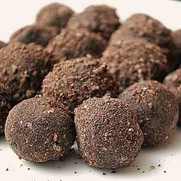 Thin Mint Truffles