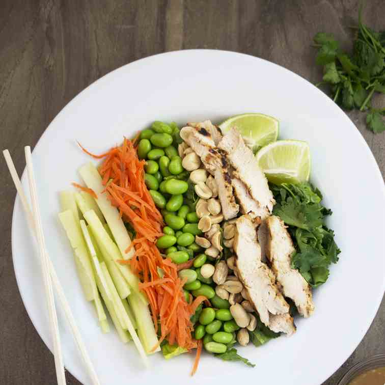 Thai Chicken Salad 