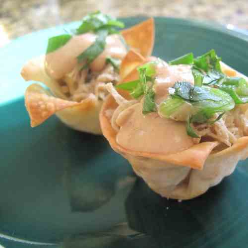 Pulled Pork Wonton Cups