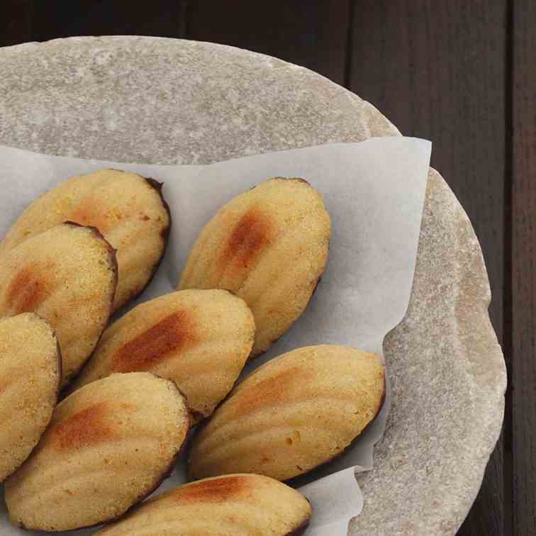 Orange Madeleines and Crunchy Chocolate