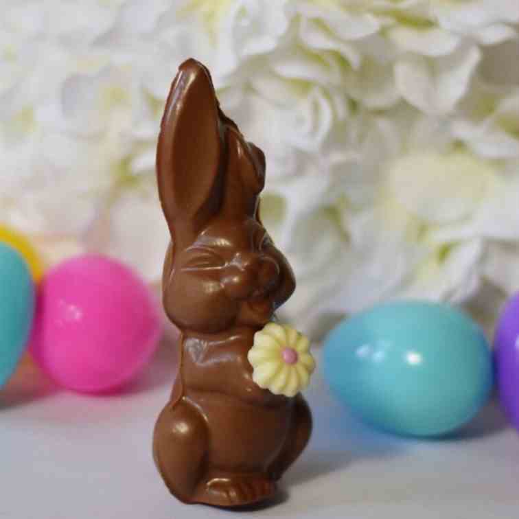 Hollow Chocolate Easter Bunny