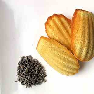 Lavender and Jasmine Madeleines