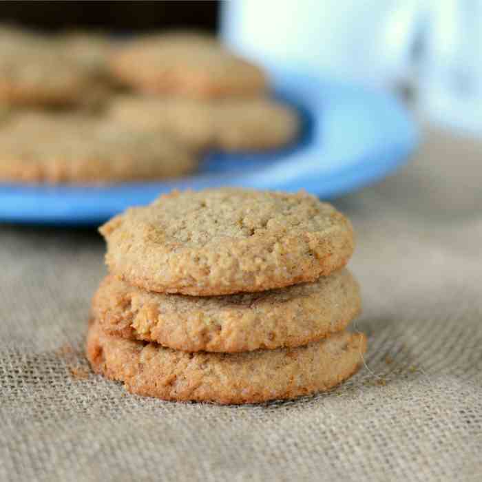 Gluten-Free Snickerdoodles