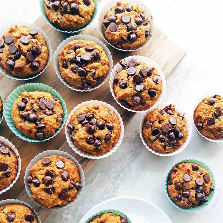 Pumpkin Chocolate Chip Whole Wheat Muffins
