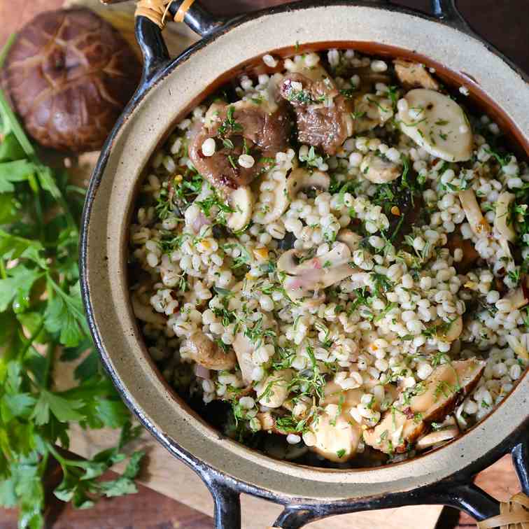 barley and three mushroom salad