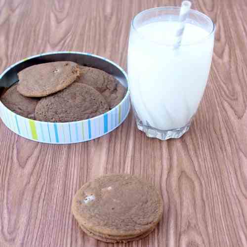 Hot Chocolate Pudding Cookies