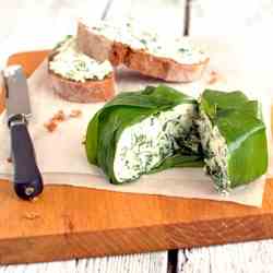 Wild garlic ideas (recipe in Czech)