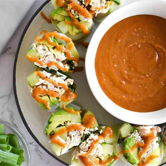 Chicken Summer Rolls with Peanut Sauce