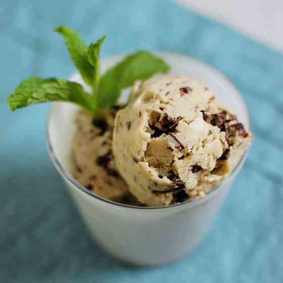 Mint Chip Ice Cream