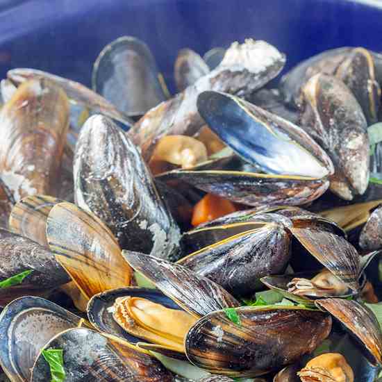 Dutch mussels