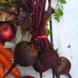 Spring Beet Bruschetta