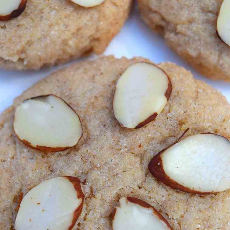 Sand Dollar Snickerdoodle Cookies