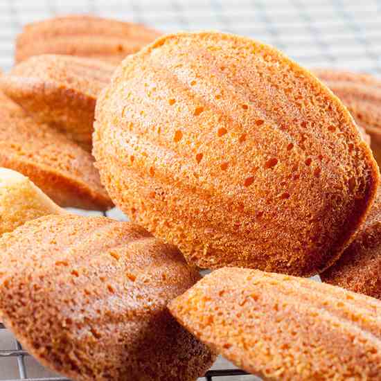 Classic French madeleines