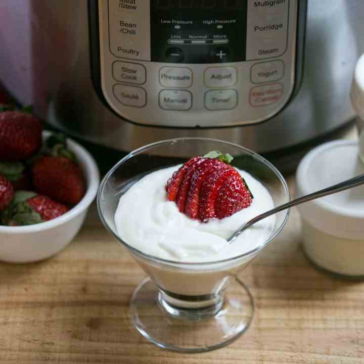 Instant Pot Yogurt Recipe