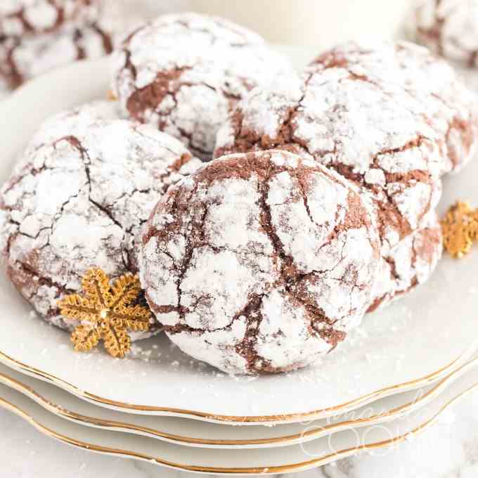 Chocolate Crinkle Cookies