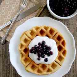 Gluten-Free Vegan Belgian Waffles