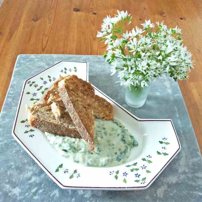 White Bean and Wild Garlic Dip