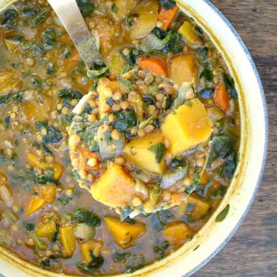 Spicy Butternut Squash Lentil Stew