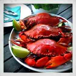 How to cook a mud crab