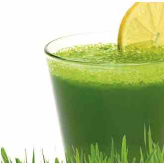 Wheatgrass Lemonade Recipe