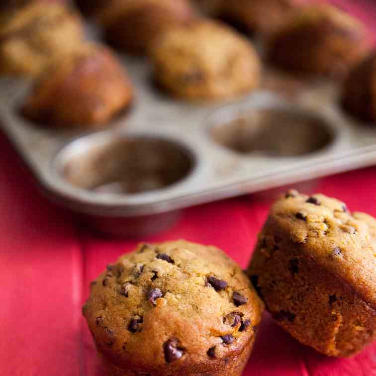 Whole Wheat Pumpkin Chocolate Chip Muffins