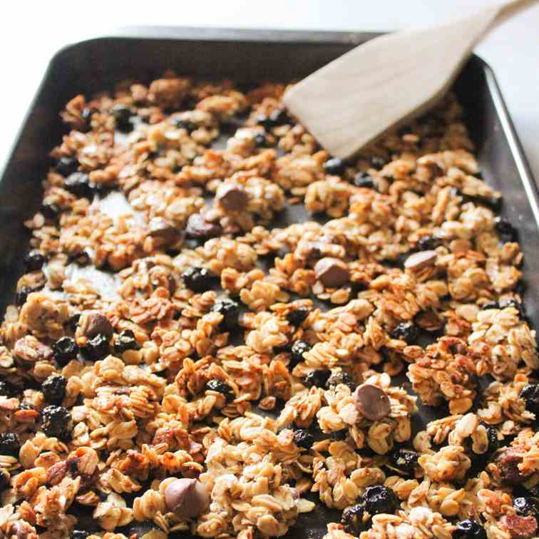 Easy Chocolate Blueberry Granola