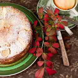 Apple Torte with Cranberries and Raisins