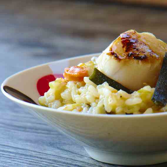 Risotto seaweed and scallops.