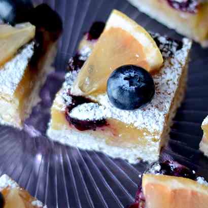 Blueberry Grapefruit Bars