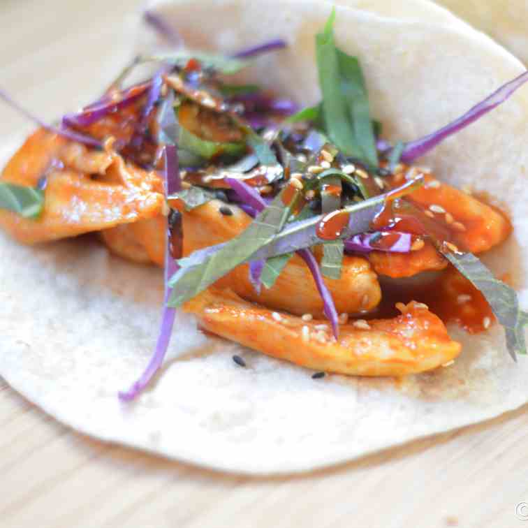 Korean Spicy Chicken Tacos