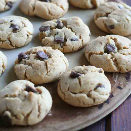 Peanut Butter Chocolate Chip Cookies