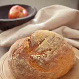 Sour Dough Bread