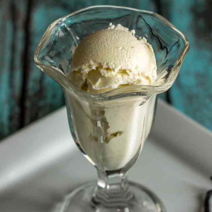 Sugar Free Vanilla Bean Ice Cream