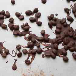 Chocolate-Covered Coffee Beans