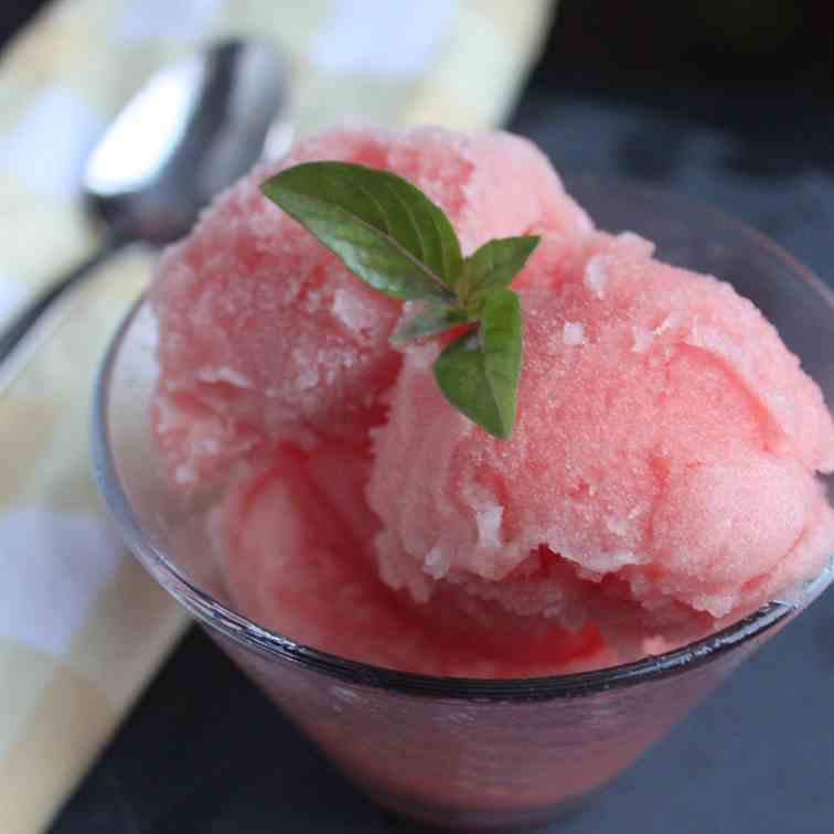 Watermelon-Basil Sorbet