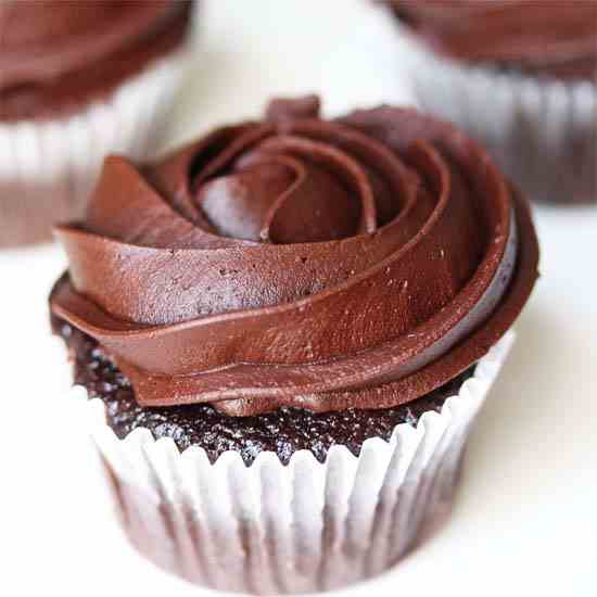 Chocolate Cupcakes