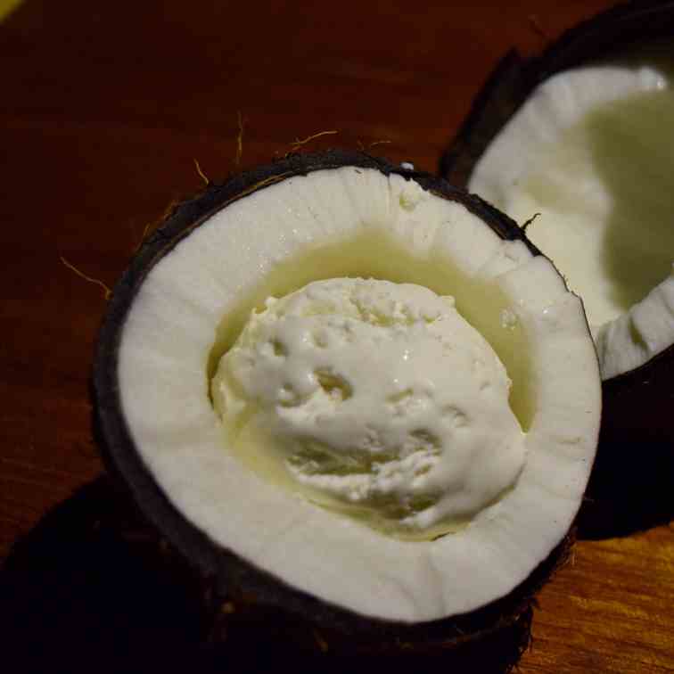 Coconut Ice cream