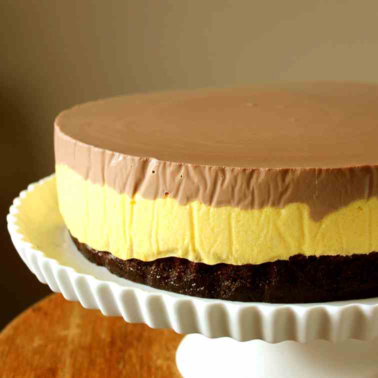 Chocolate Cake with Mango Mousse