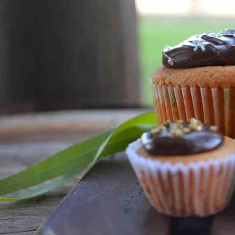 Vanilla cupcakes with chocolate frosting
