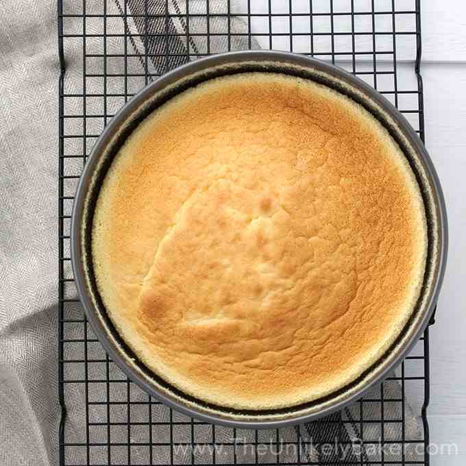 Japanese Cheesecake